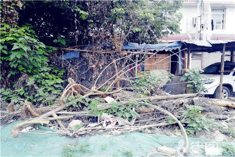 農村宅基地加固（農村宅基地加固政策最新動態,農村房屋加固案例分享）